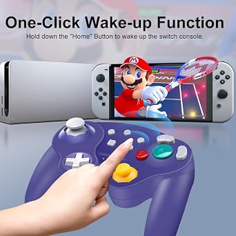 HaeBorl Wireless Controller for Nintendo Switch, Wireless Switch Pro Controller with 600mAh Built-in Battery for Nintendo Switch/Switch OLED/PC/Steam, Auto Turbo,Wake-up/Screenshot Function, Purple
