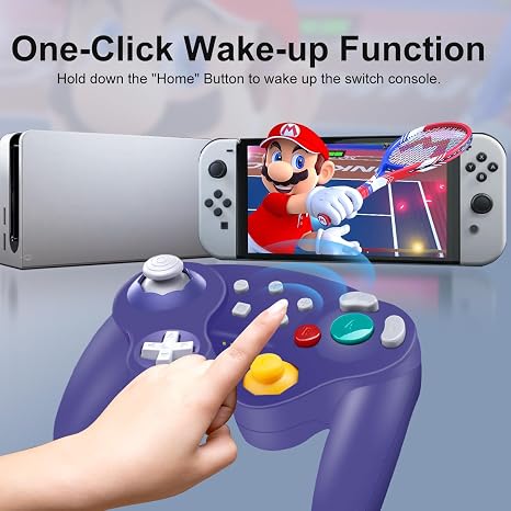 HaeBorl Wireless Controller for Nintendo Switch, Wireless Switch Pro Controller with 600mAh Built-in Battery for Nintendo Switch/Switch OLED/PC/Steam, Auto Turbo,Wake-up/Screenshot Function, Purple