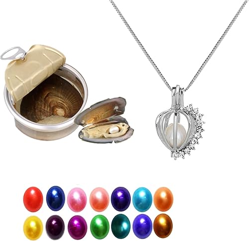 Zehao - Kit de collar de perlas de deseo, misterioso juego de regalo de perlas de ostra, kit de fabricación de collares, colgante de cristal con