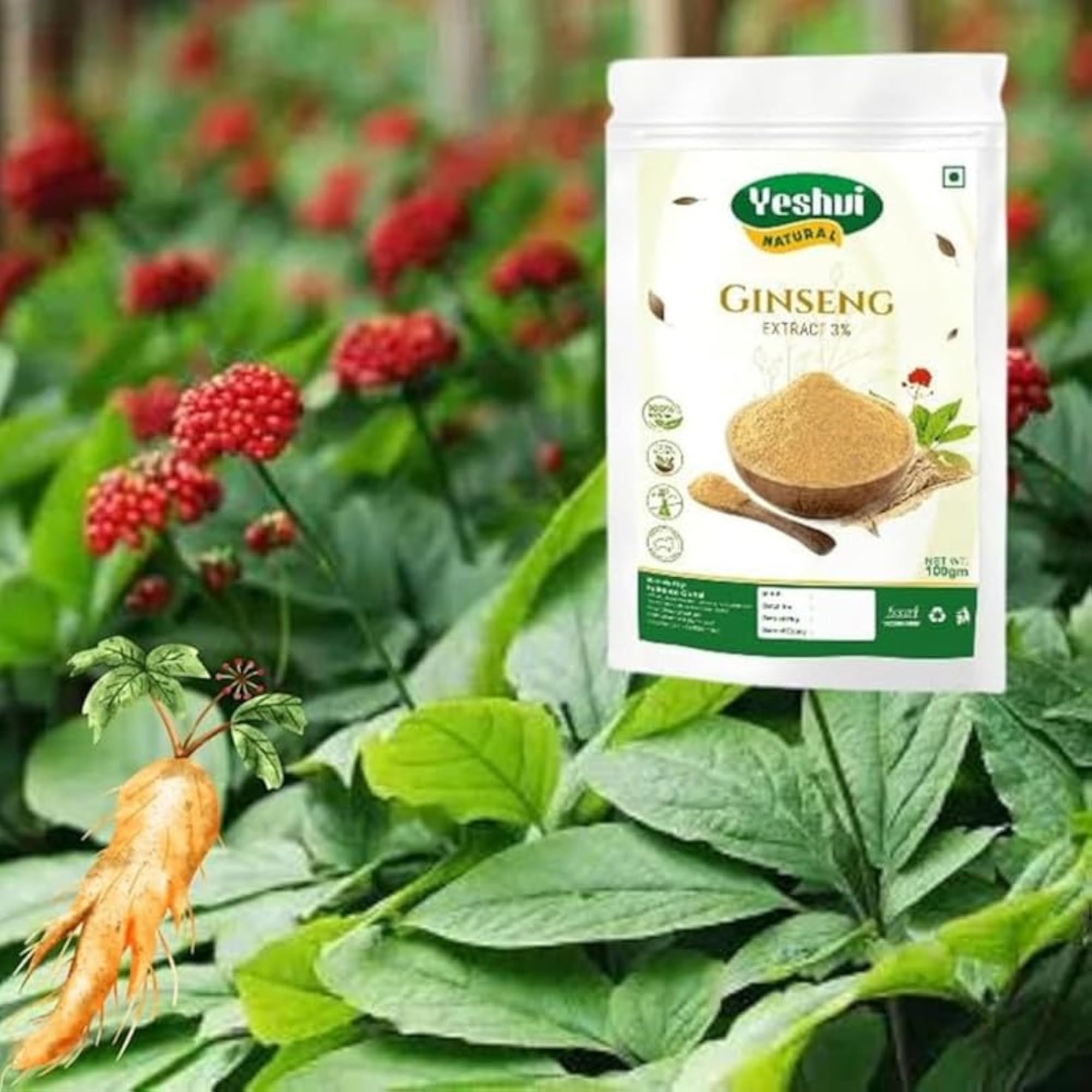 Yeshvi NATURAL Ginseng Root Extract Powder, 100gm Pack