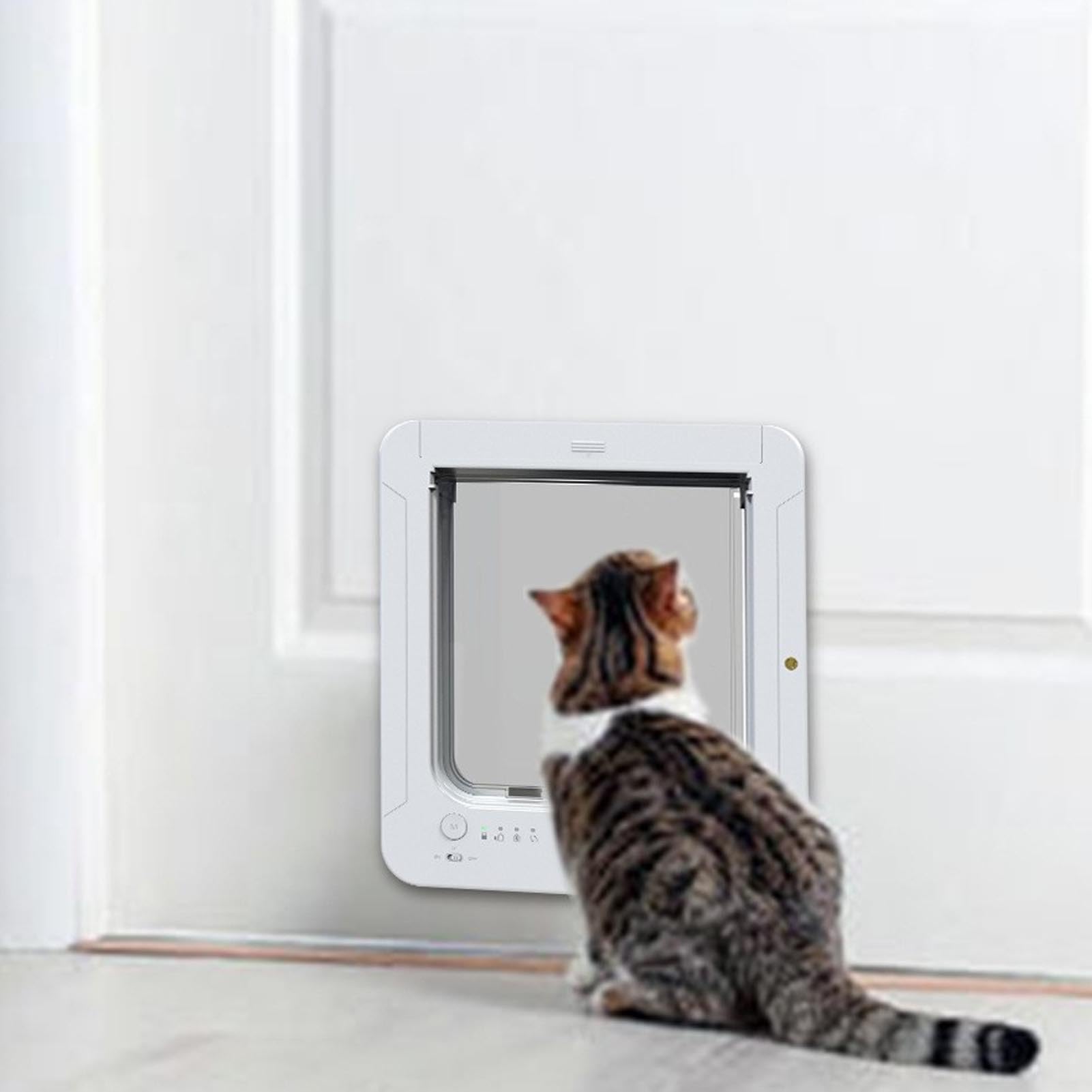 ZJchao Puerta Inteligente para Mascotas, Collar Electrónico con Solapa para Gatos, Tecnología de Detección de Microchip de Entrada de 2 Vías Activada, Plástico Resistente a la