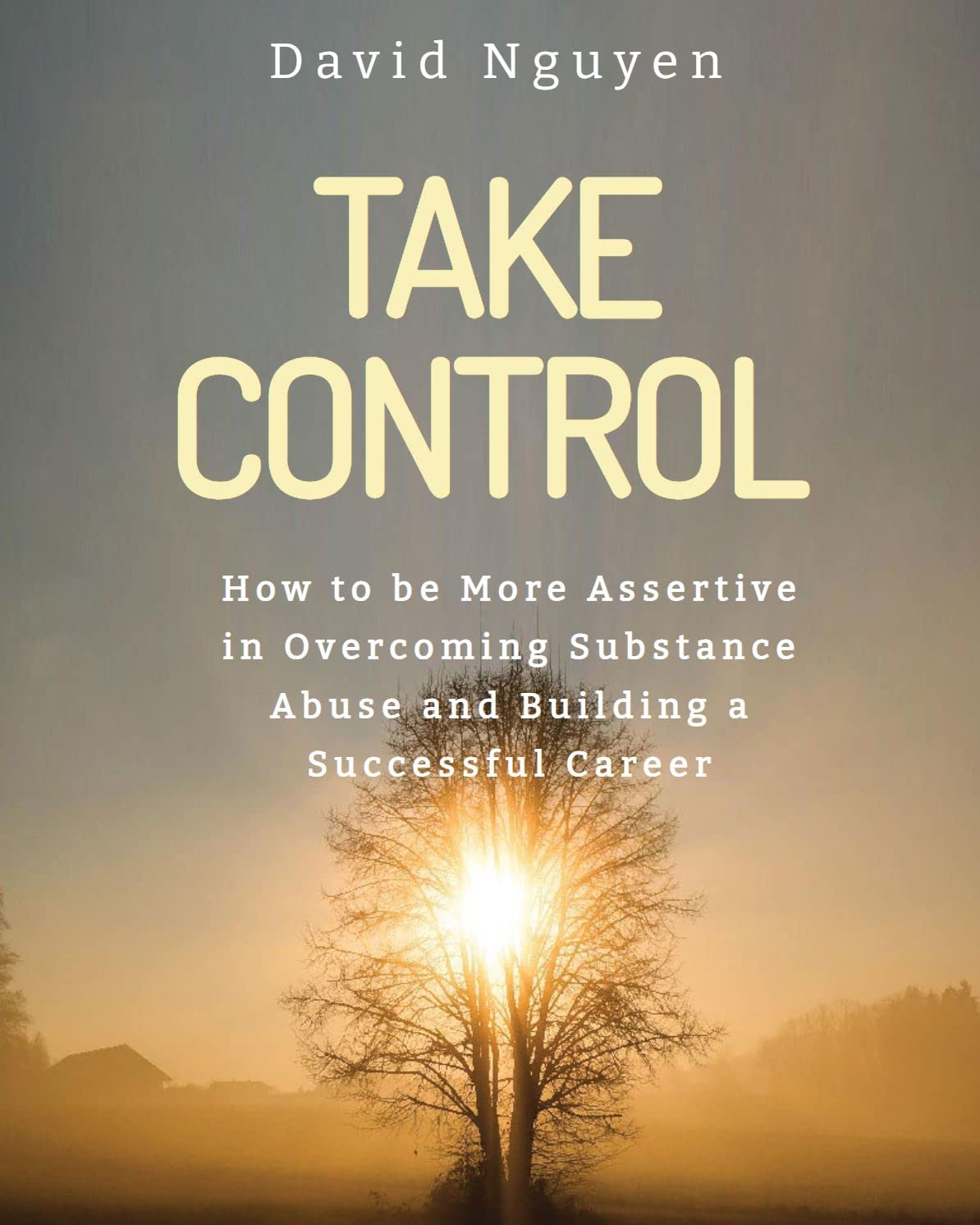 Take Control: How to be More Assertive in Overcoming Substance Abuse and Building a Successful Career