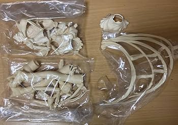 絶版】1/6海外ガレージキット「ローラーボール ジョナサンE