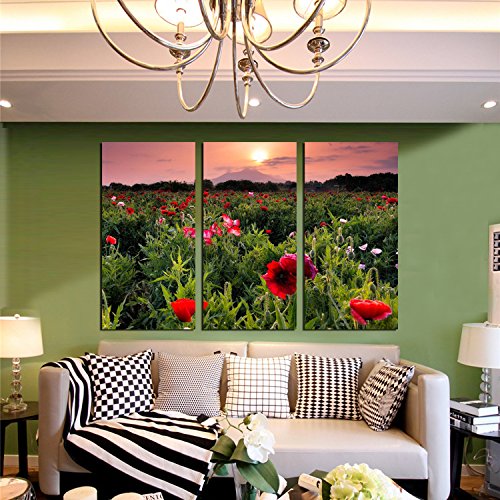 FAYM-The living room is decorated modern paintings, flower landscape paintings, frescoes painted wall paintings, Three Piece ,30cm*60cm*(3pcs)