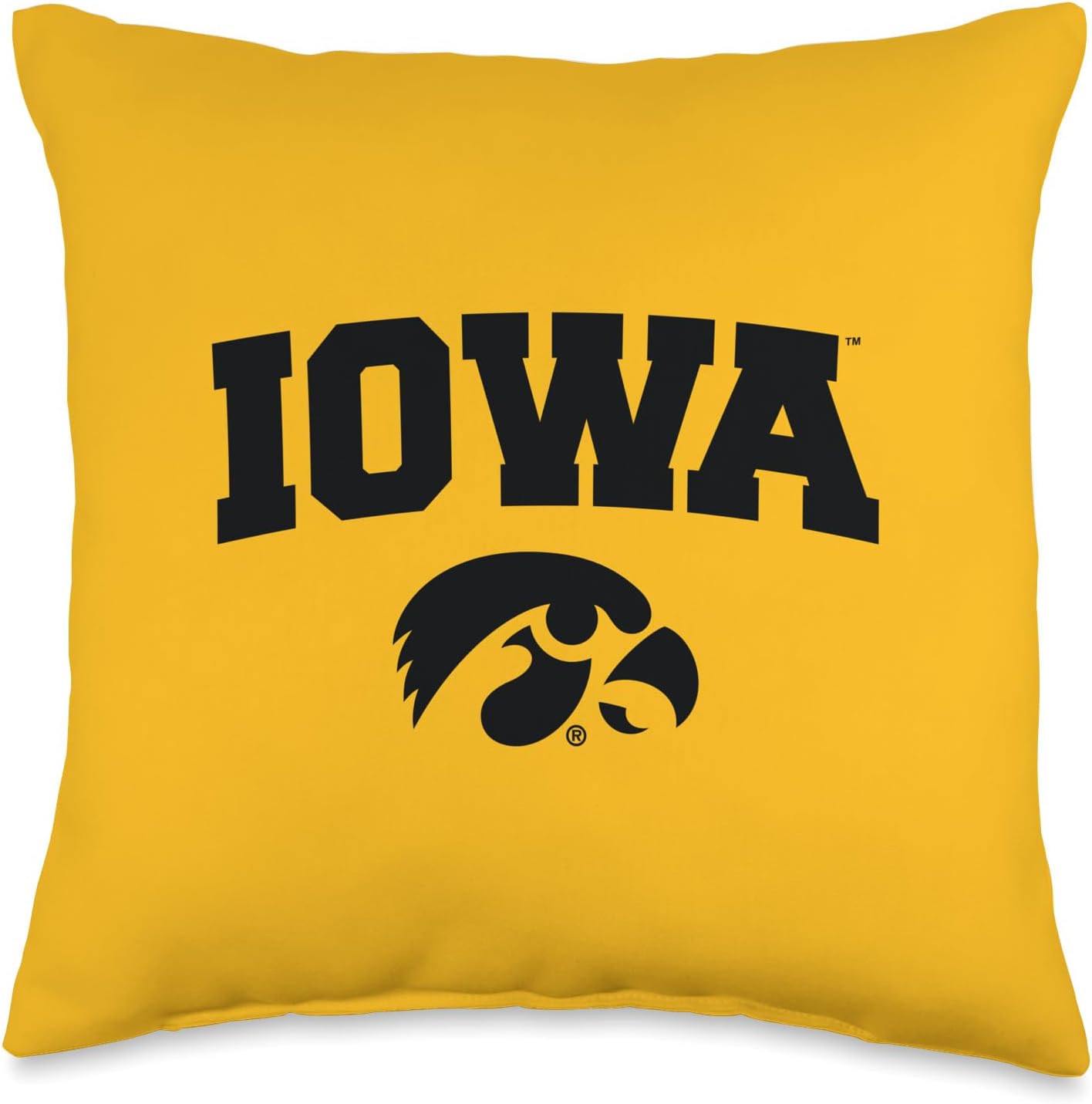 Iowa Hawkeyes | NCAA University of Official | OCIMPIO003 Throw Pillow