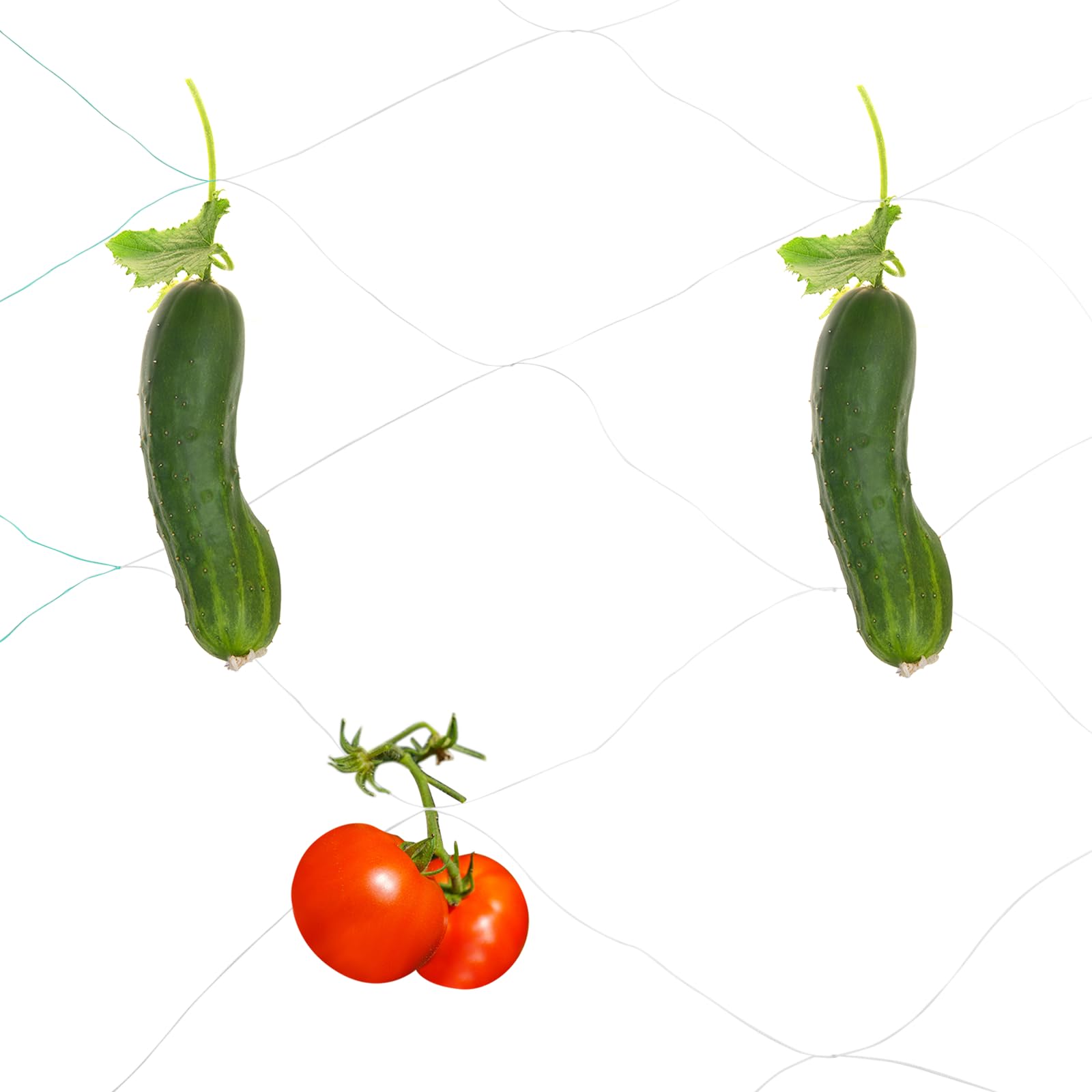 sourcing map 2pcs Trellis Netting for Climbing Plants 1.8m x 100m 6 Strands Heavy Duty Garden Polyethylene Plant Support Net with 25cm x 25cm Mesh for Fruits Vegetables Cucumber, White Green