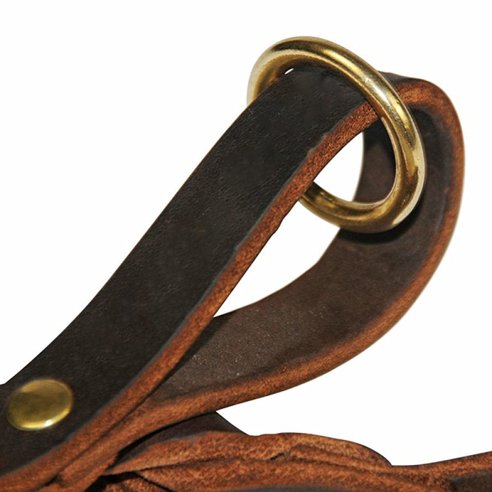 Correa Corta for Perros, Resistente, de 30 cm, un Solo Paso, Correa tracción for Mascotas, Cuero for Entrenamiento Paseo