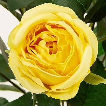 Amazon｜東京堂 造花 MAGIQ ルシアローズブッシュ イエロー 花径