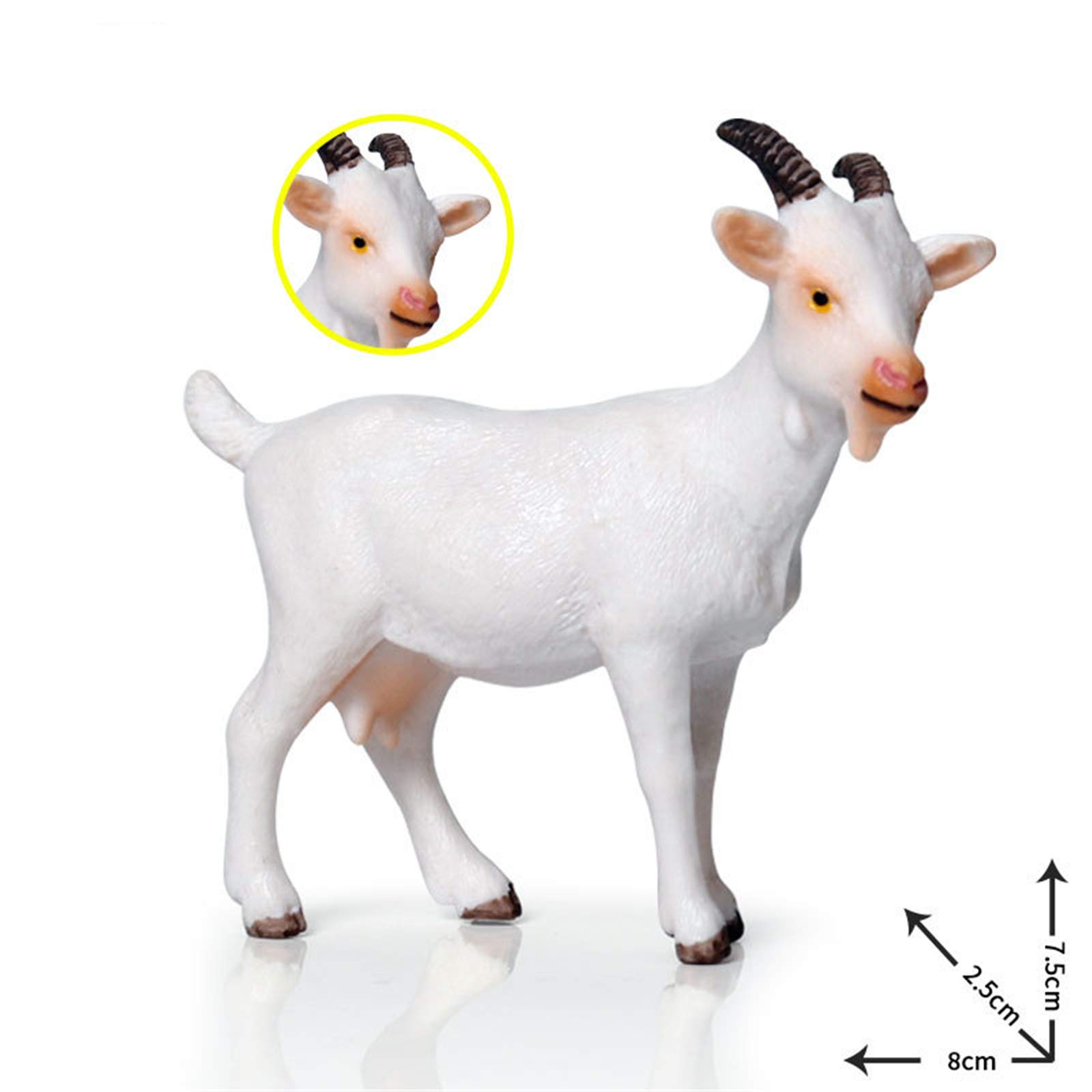 Amazon.co.jp: Eden Toys ヒツジ 羊 綿羊 ヤギ 山羊 動物 野生動物