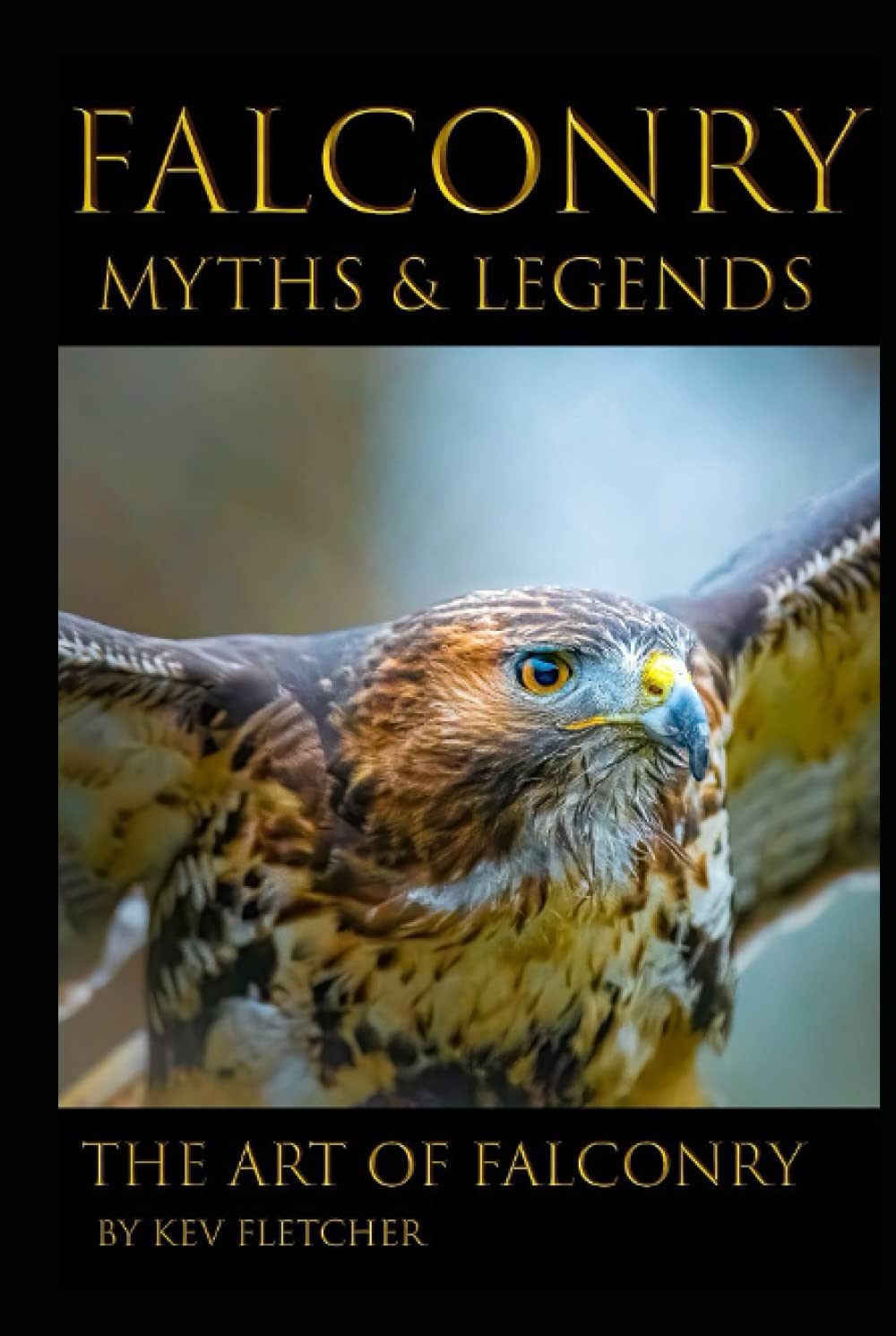 Falconry - Myths & Legends: The Art Of Falconry