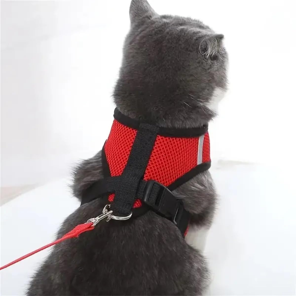 Pettorina con Guinzaglio per Cane Gatto Giallo Flash Imbracatura Regolabile in Nylon per Cucciolo Piccolo Animale Domestico