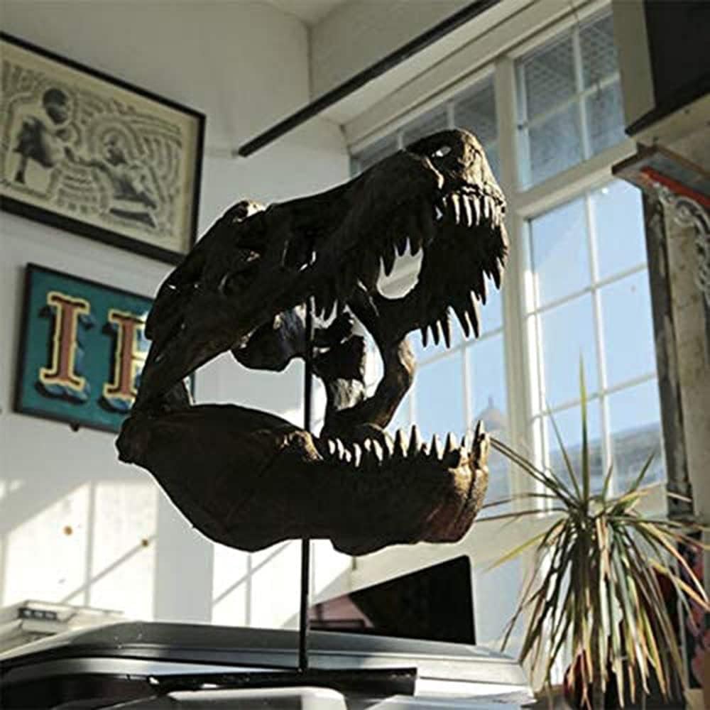 Dekoracja biurka Artystyczna Statua - Rzeźba Ozdoby - Statua Czaszki Dinozaura, Model w Skali 1/10 Tyranozaur Rex Czaszka Żywica Rzeźba Realistyczna statuetka w kształcie dinozaura Blat