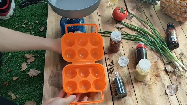 Porte-œufs Plastique Empilable 3/4/8 œufs - Sans BPA, Avec Couvercle - 3