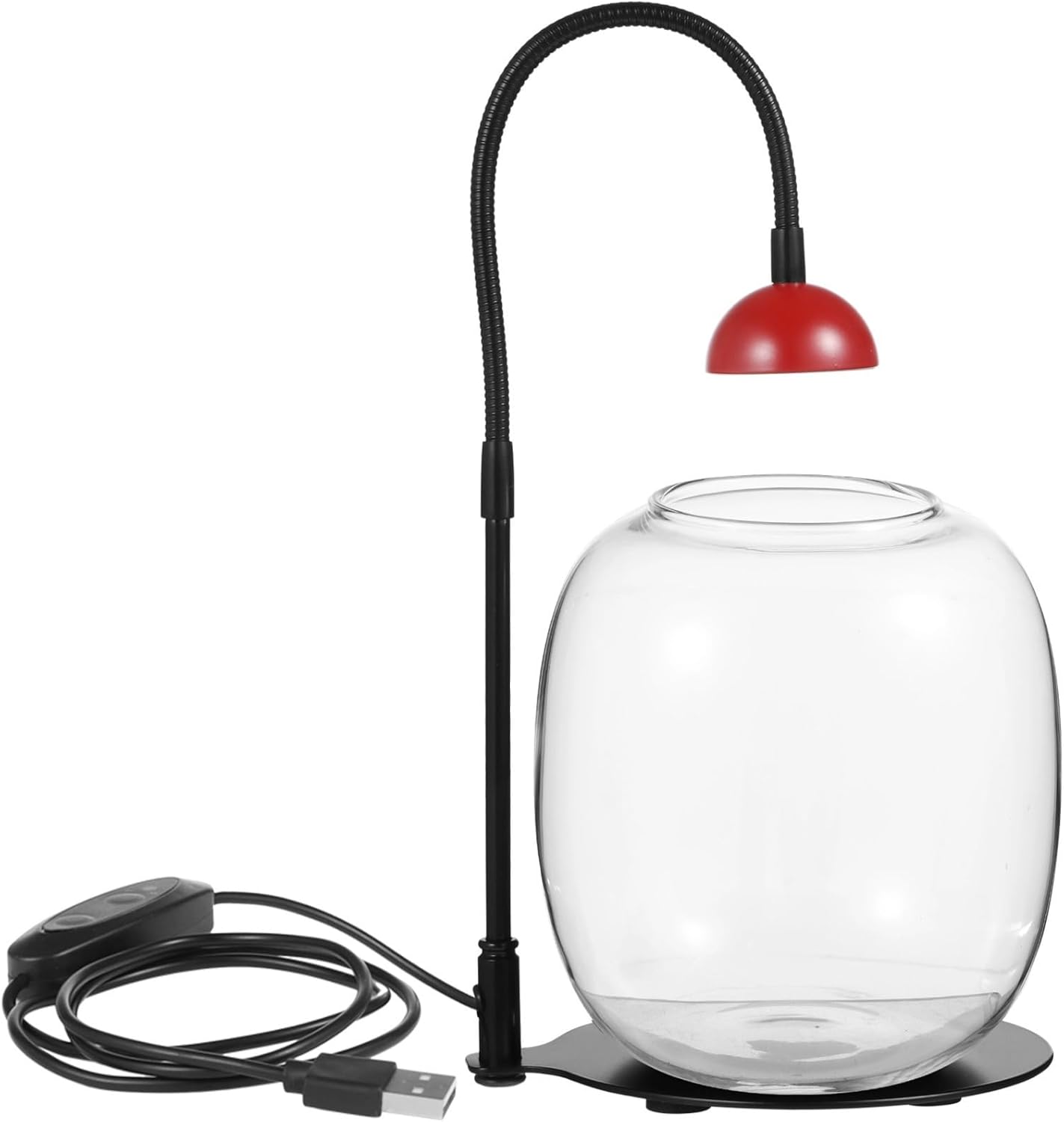 Home Office Decoration, Succulent Air Planter with Timed Grow Light, Miniature Garden Landscapes, Betta Fish, Indoor Plants, Desktop Glass Vase and Light for Moss, Glass Plant Terrarium