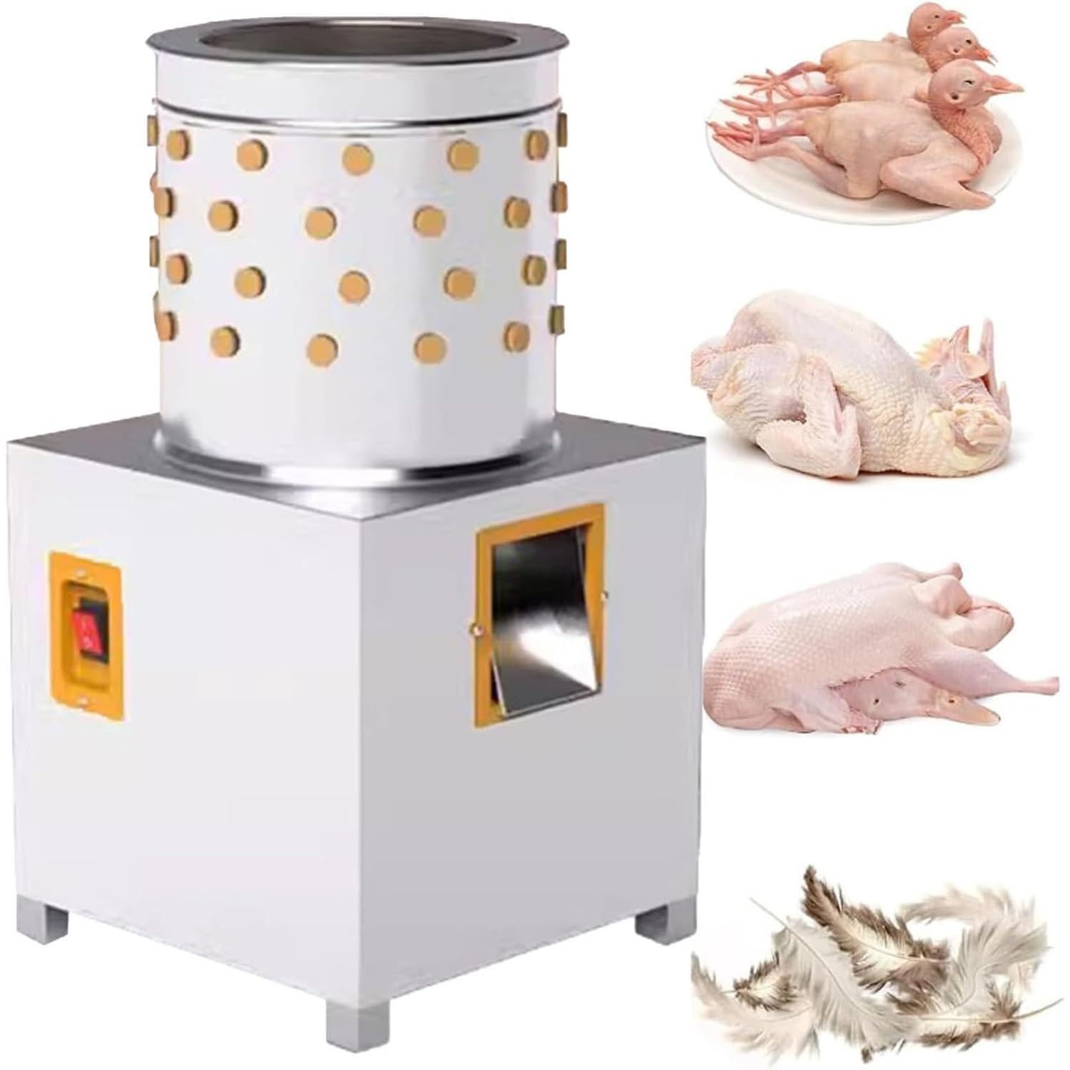 Plumeuse de poulet pour cailles et moineaux de basse-cour
