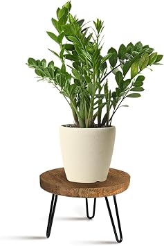 OBTAIN Plant Stand Indoor Outdoor Wood Mid Century Plant Stand for Indoor Plants, Modern Plant Table Round Plant Stool, Boho Rustic Wooden Stool for Plant Pot Hol L