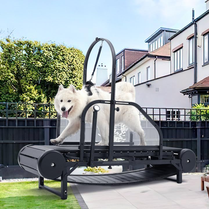 Image of Dog Treadmill for Large Dogs with Manual Brake & Timer, 18 inch Usable Width