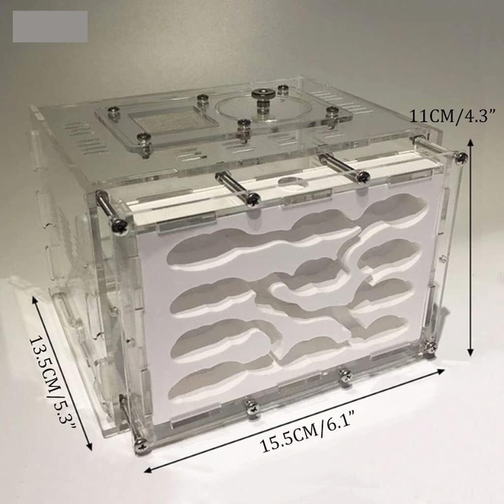 Formicarium Hormiga Granja De Nidos De Hormigas, Bricolaje, Yeso Para Granja De Hormigas, Nido De Hormigas Con Área De Alimentación, Taller Ecológico Hidratante Para Hormigas Granja Hormigas(Large)