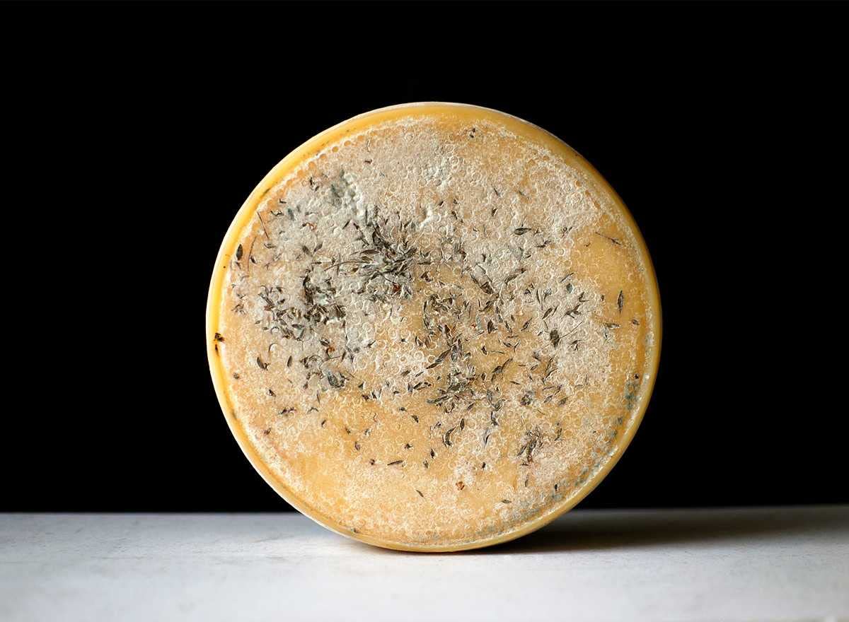 2 kg - Foz'e Murta - Formaggio Pecorino al Mirto - Forma Intera - Sa Marchesa - Giuseppe Cugusi