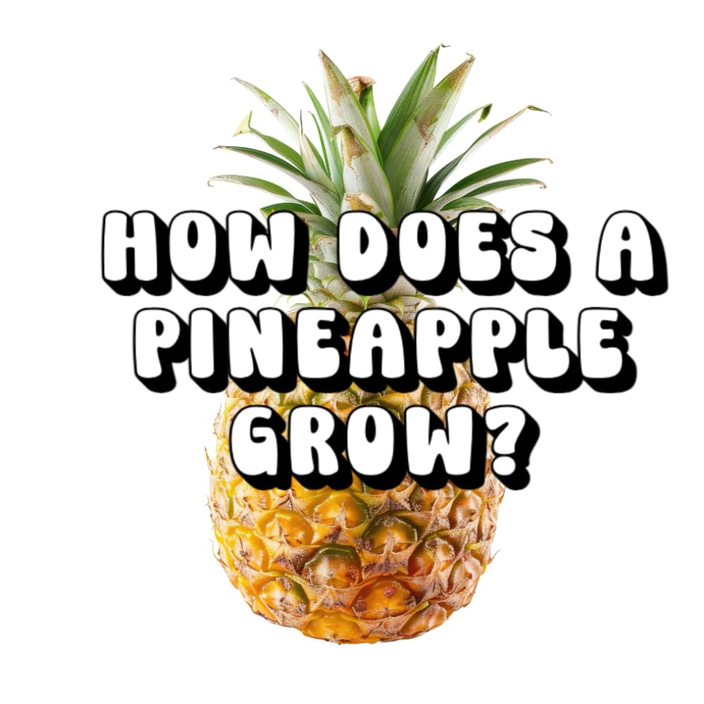 How Does a Pineapple Grow?