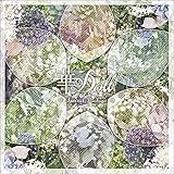 ��Doll* Special Package