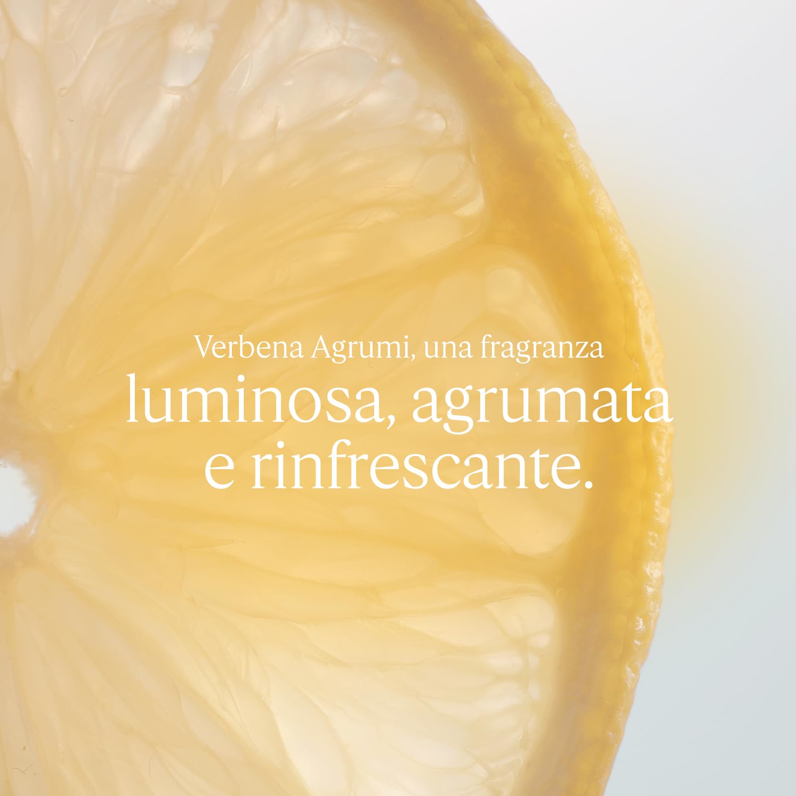 L'OCCITANE - Eau de Toilette Verveine Agrumes (Verbena Agrumi) - 100 ml - Note fruttate e frizzanti - Prodotto in Francia
