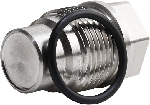 Fuel Rail Plug Valve Rail Fuel Plug Stainless Steel M20x1.5 for Chevy Dodge 6.7l Cummins
