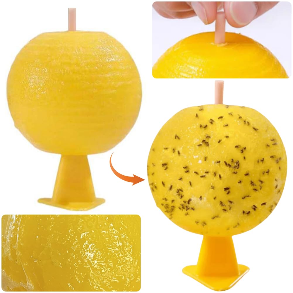 27 Stück Fruchtfliegenfalle Sticky Fruit Fly Trap Ball Multifunktionale Klebefallen Zitrusförmiges Design for Fruchtfliegen Trauermücken und Gnitzen (B)