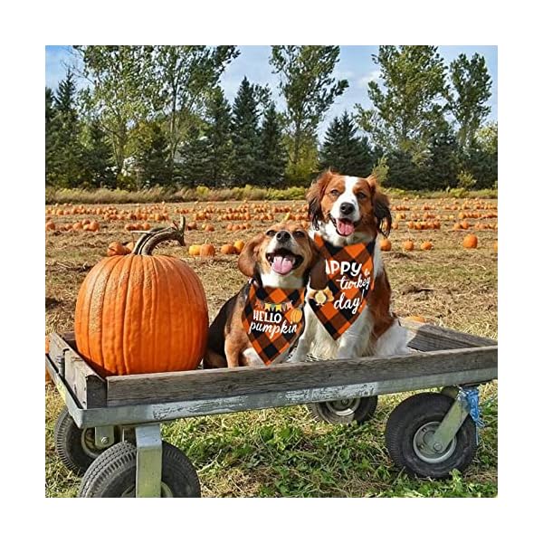 Chngeary dog bandana for dogs(2 pack),classic orange plaid style thanksgiving dog bandana for small medium large dogs accessories triangle dog thanksgiving scarf - image 3