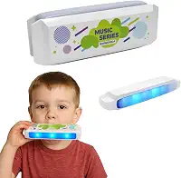 Brinquedo Gaita Musical Infantil Educativa Som Realista Lead