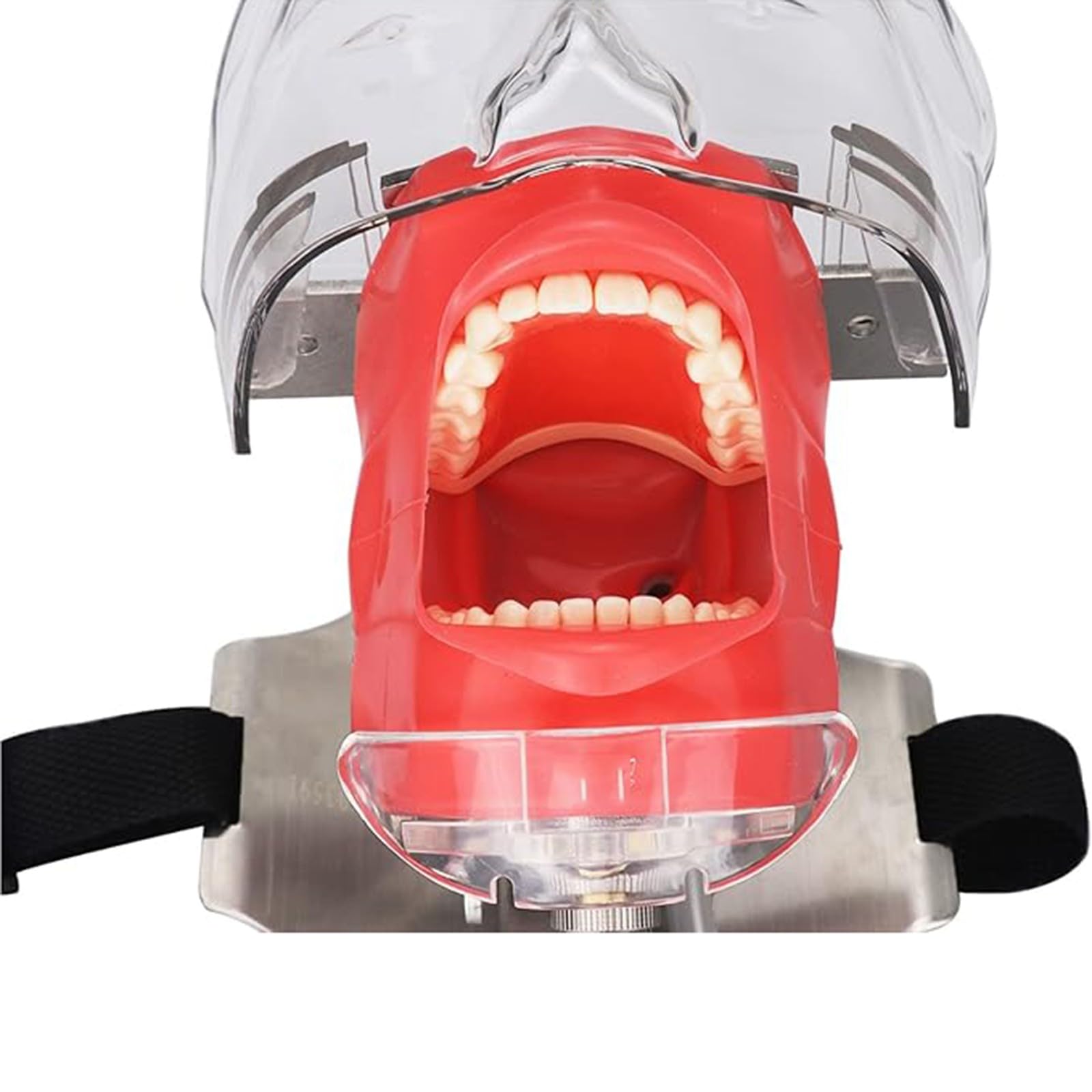 Simulatore di testa di manichino dentale, stampo per testa di pratica per studenti, per laboratori di formazione odontoiatrica, regolabile a 360 gradi A