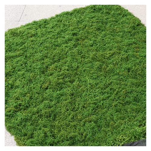 VagxTbs Alfombra De Musgo Artificial Falso Planta Pared Estera Césped Realista Cesped
