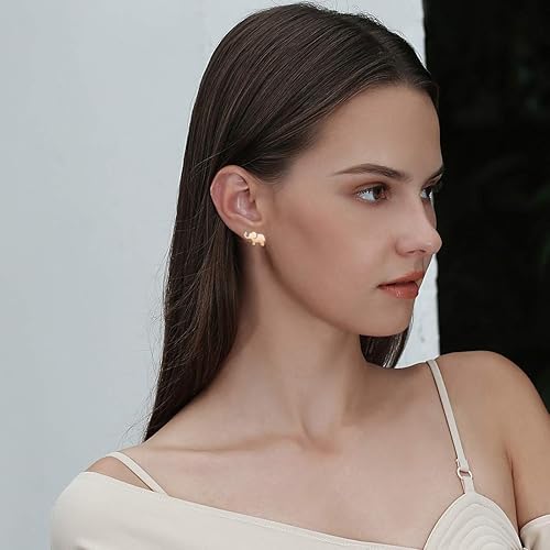 Miniatura 4 de FANCIME Aretes de elefante de plata de ley 925, delicadas joyas finas, regalos de Pascua para mujeres, amigas, amistad, pequeño abalorio, regalo