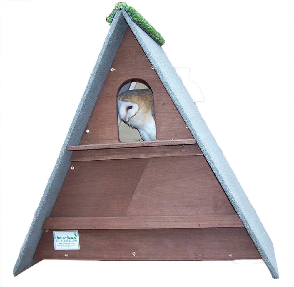 barn owl nest box (Dark Brown)