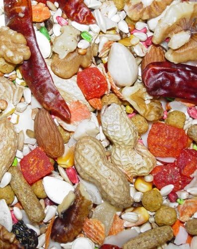Higgins Sunshine Safflower Gold Bird Food for Large Hookbill Parrots 25 lb - No Sunflower Seeds