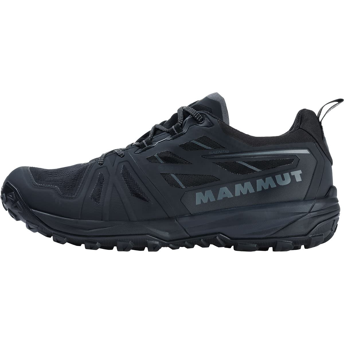 Mammut Saentis Low GTX Women