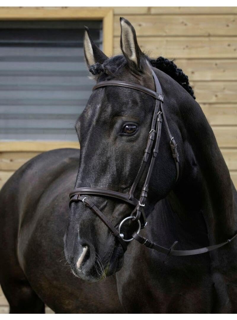 RIDING WORLD Bridon Combinée - Couleurs - Noir, Taille Equipement Cheval - COB