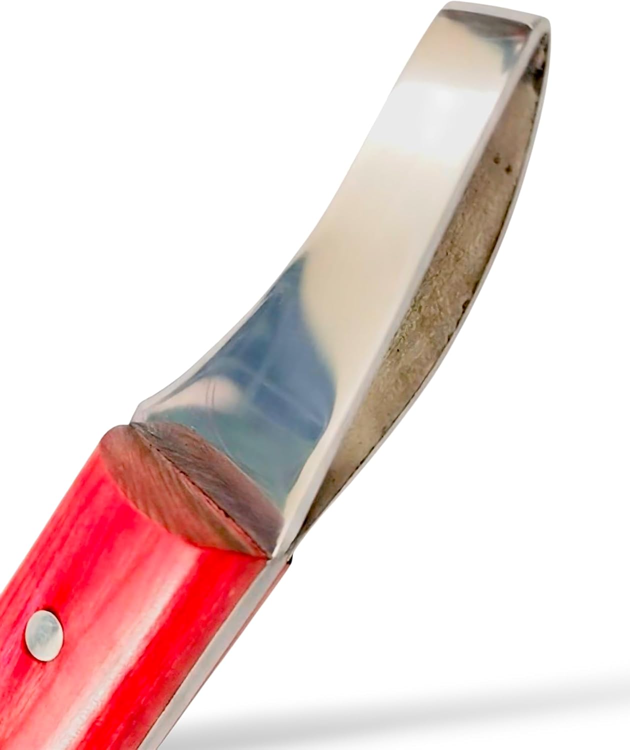 Loop Blade Hoof Knife, J2 420 Magnetic Stainless Steel, Right-Hand, Ergonomic Red Handle, Professional Farrier Trimming Tool