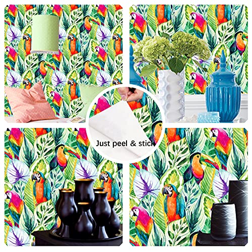 Haokhome 93067 Peel And Stick Wallpaper Rain Forest Palm Leaves Parrot Green Multi Removable For Accent Wall Bedroom Decorations 17.7In X 118In #TOP2