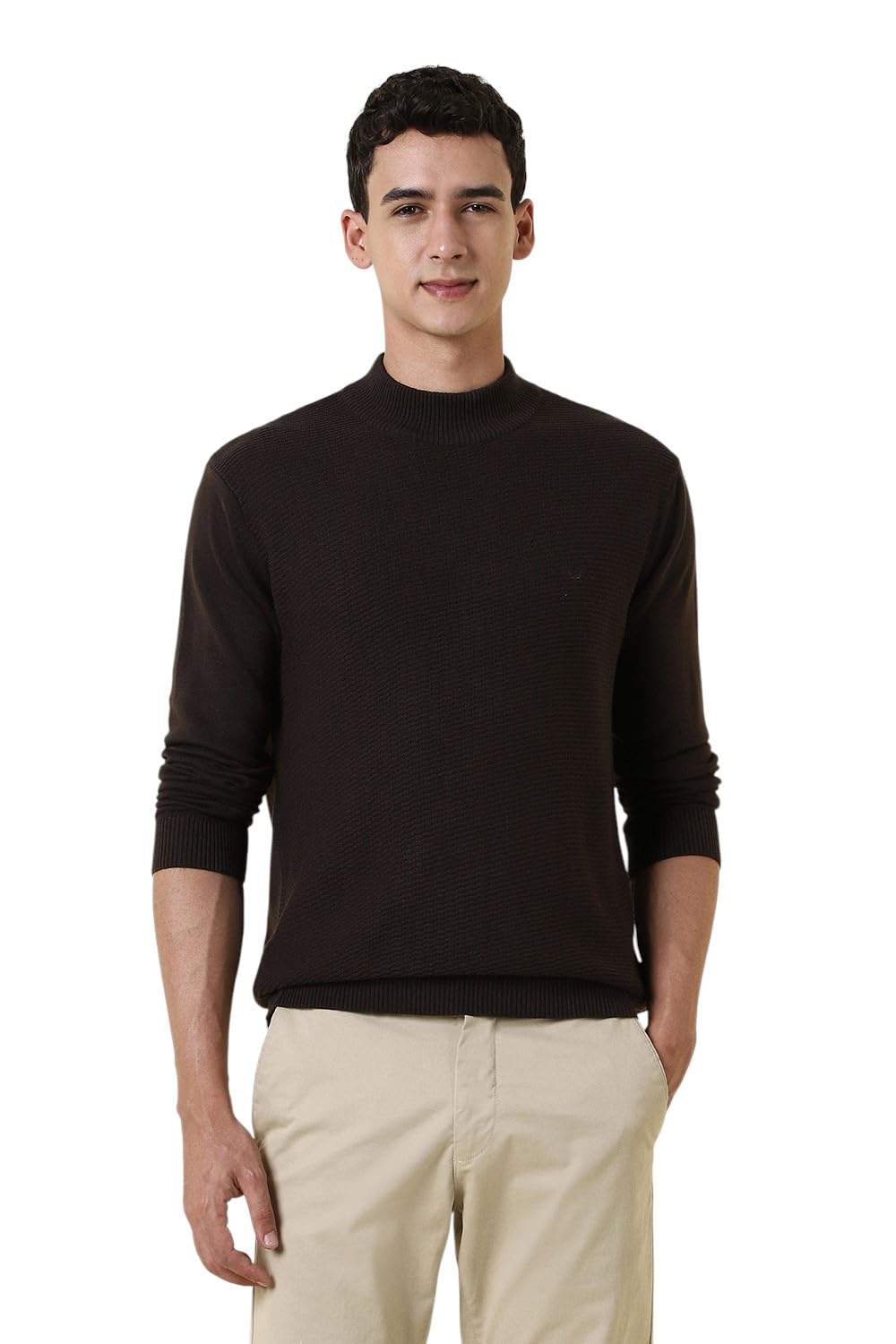 allen solly Men Sweater-picture-23