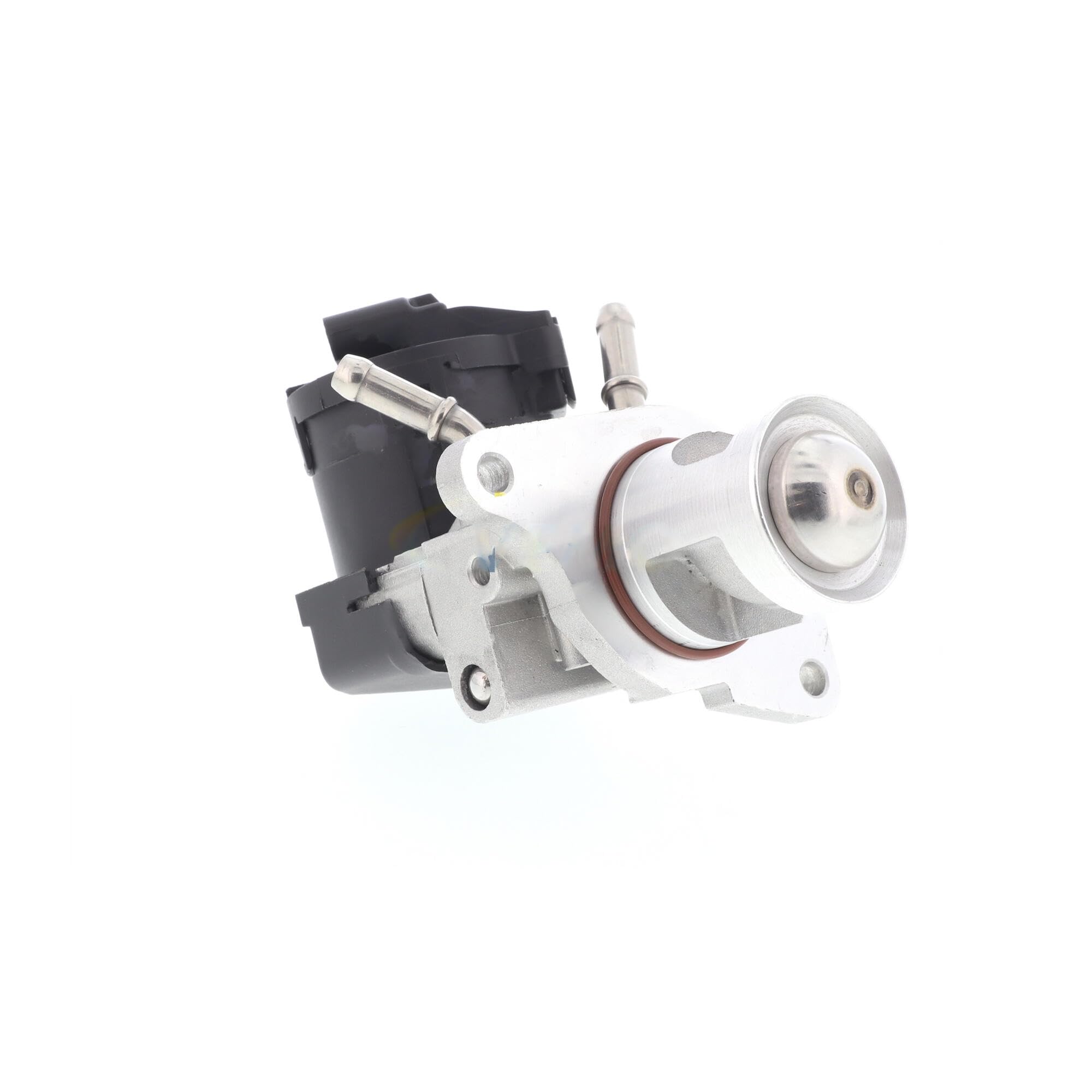 VEMO V20-63-0012 Valvola ricircolo gas scarico-EGR | Compatibile con: BMW 1, 1, 1, 1, 1 Cabriolet, 1 Coupe, 2 Coupe, 3, 3, 3 Cabriolet, 3 Coupe, 3 Gran Turismo, 3 Touring