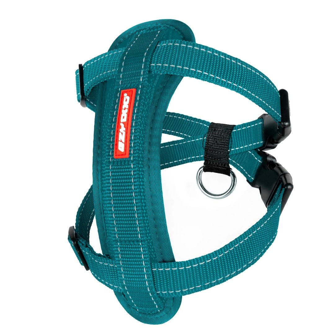 EzyDog Chest Plate No Pull Dog Harness Escape Proof Harness with Reflective Stitching and Comfort Padding for Easy Walks, Training & Control - Car Restraint Included (Large, Teal)