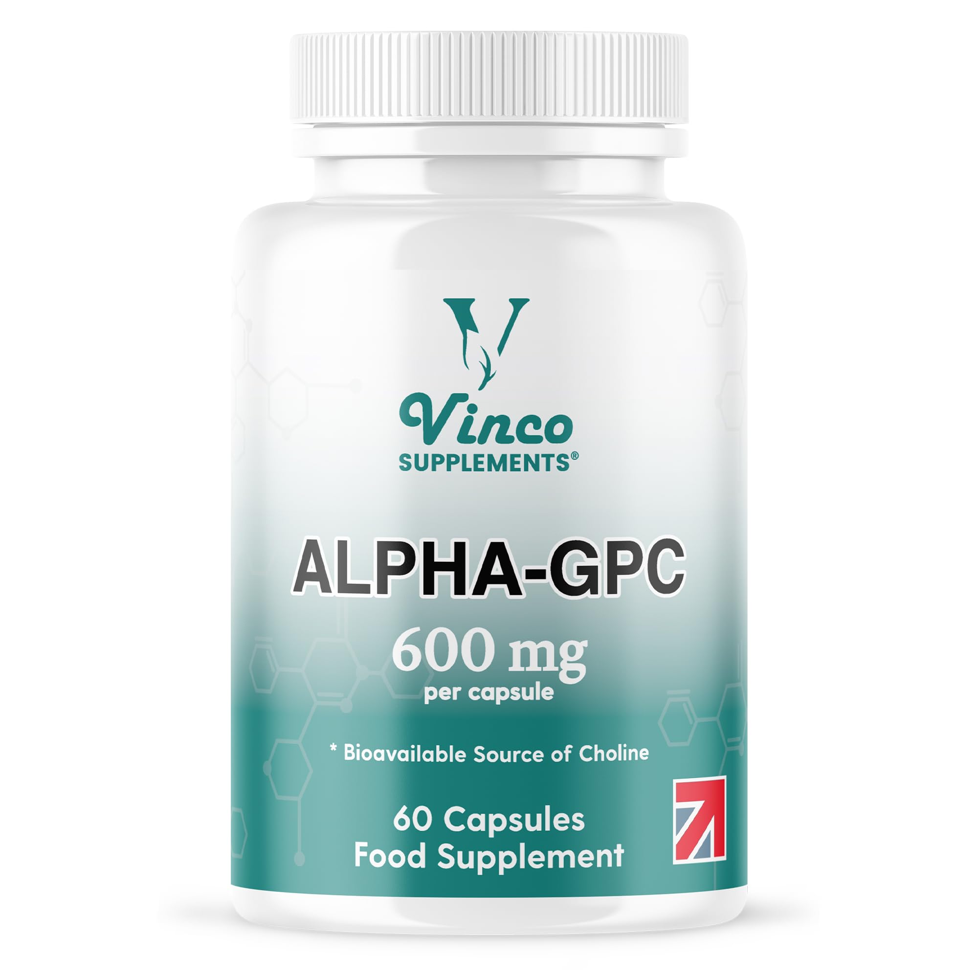 Vinco Alpha GPC 600mg in One Capsule - 60 Capsules = 60 True Servings - Pure Choline Supplement - Nootropic for Brain Support, Focus, Memory, Motivation & Energy - Alpha GPC Rich - Made in The UK