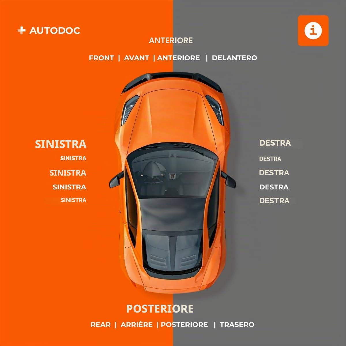 RIDEX 3405B0064 Serie/Kit Kit dischi e pastiglie Anteriore senza viti/bulloni Compatibilità con FIAT 500 312