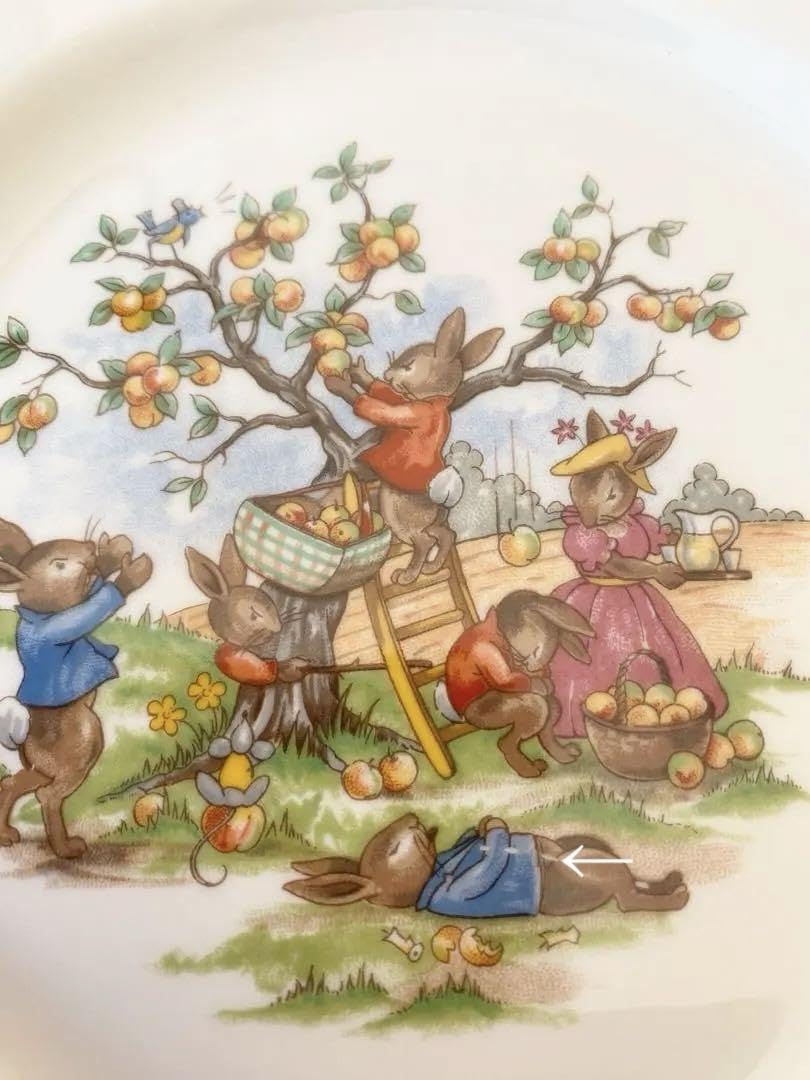 ロイヤルドルトン　バニキンズ　プレート2枚 ロイヤルドルトン バニキンズ丸皿 2枚組 - メルカリ