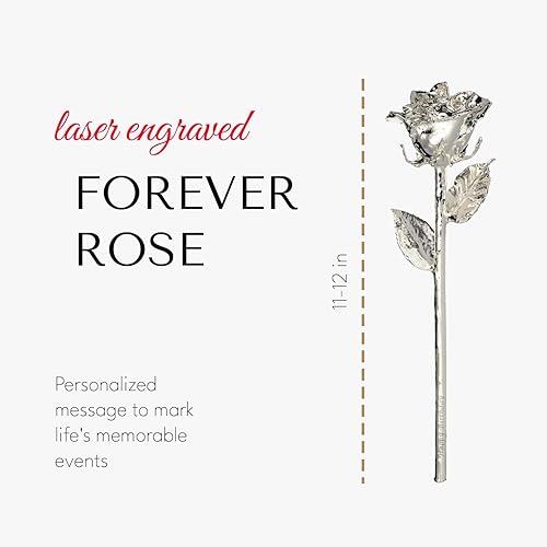 Miniatura 3 de Forever Rose Rosa real bañada en plata Eterna mano sumergida a láser personalizada hermosa flor para siempre de 11 a 12 pulgadas + elegante jarrón