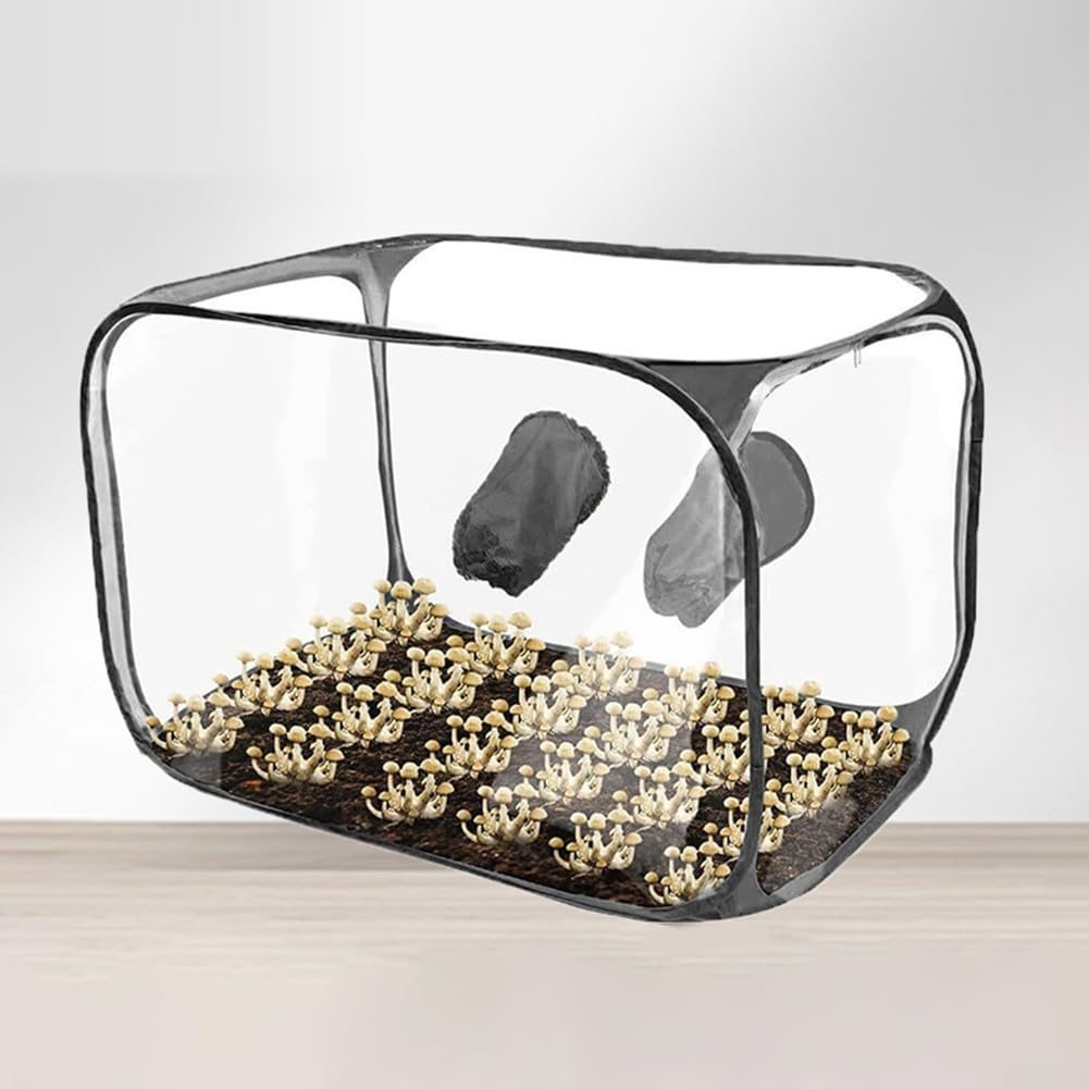 Still Air Box, 80 x 59 x 59 cm, Pilzfruchtkammer, transparentes PVC mit Reißverschluss für Zugang, faltbares Design für Mykologie-Enthusiasten (schwarz)