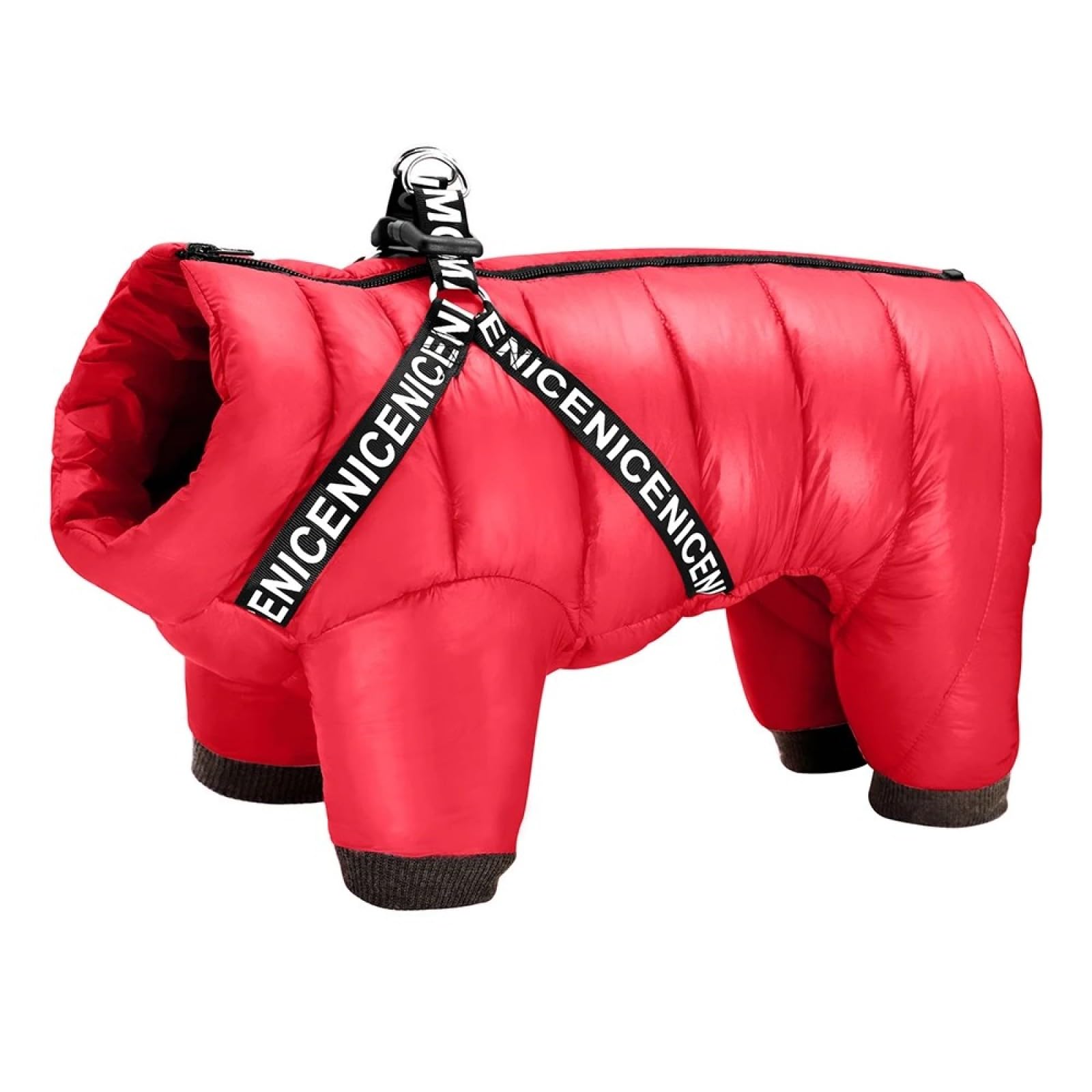 Veste imperméable chien avec harnais intégré pour promener votre bouledogue au chaud en hiver