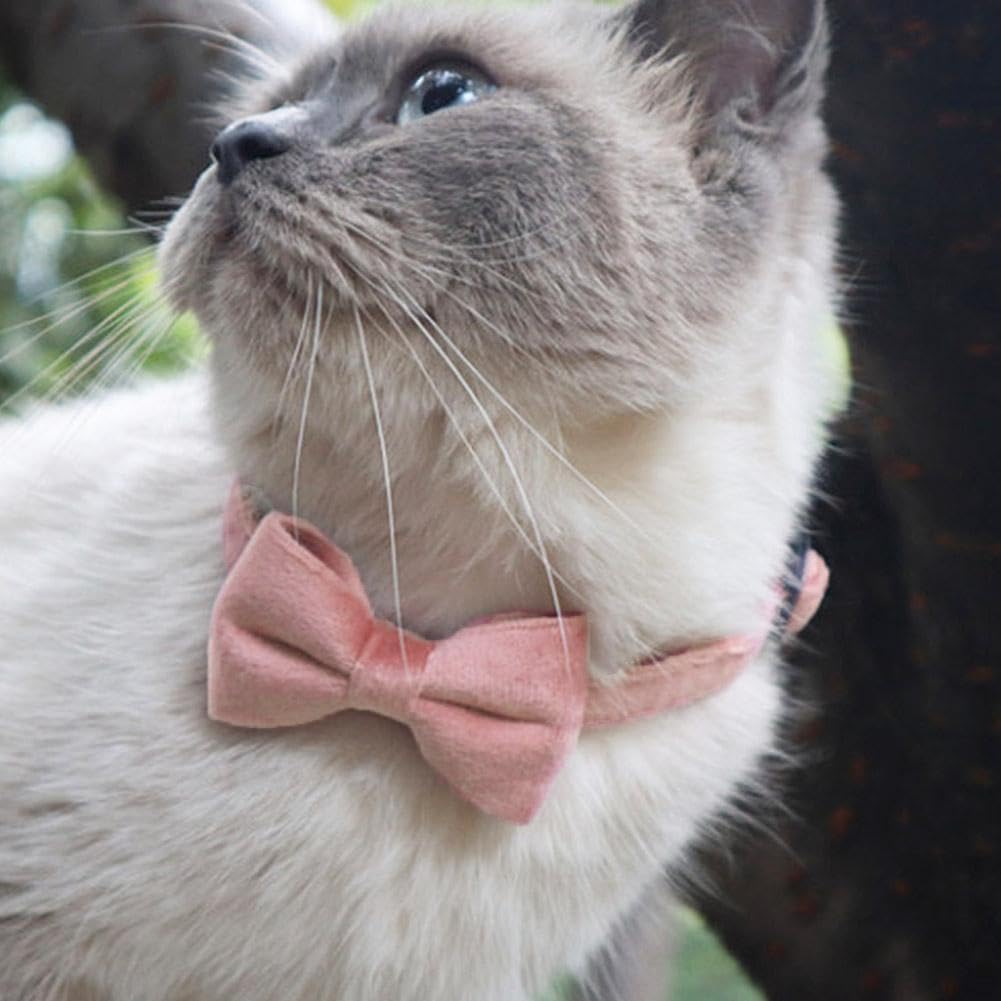 Amazon | DIANX 猫 首輪 リボン ペット首輪 鈴付き 犬用首 輪 猫用首