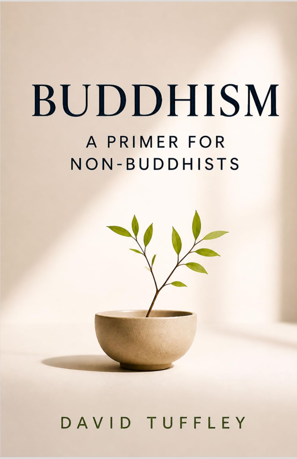 Buddhism: A Primer for Non-Buddhists (Comparative Religion: Primer Series)